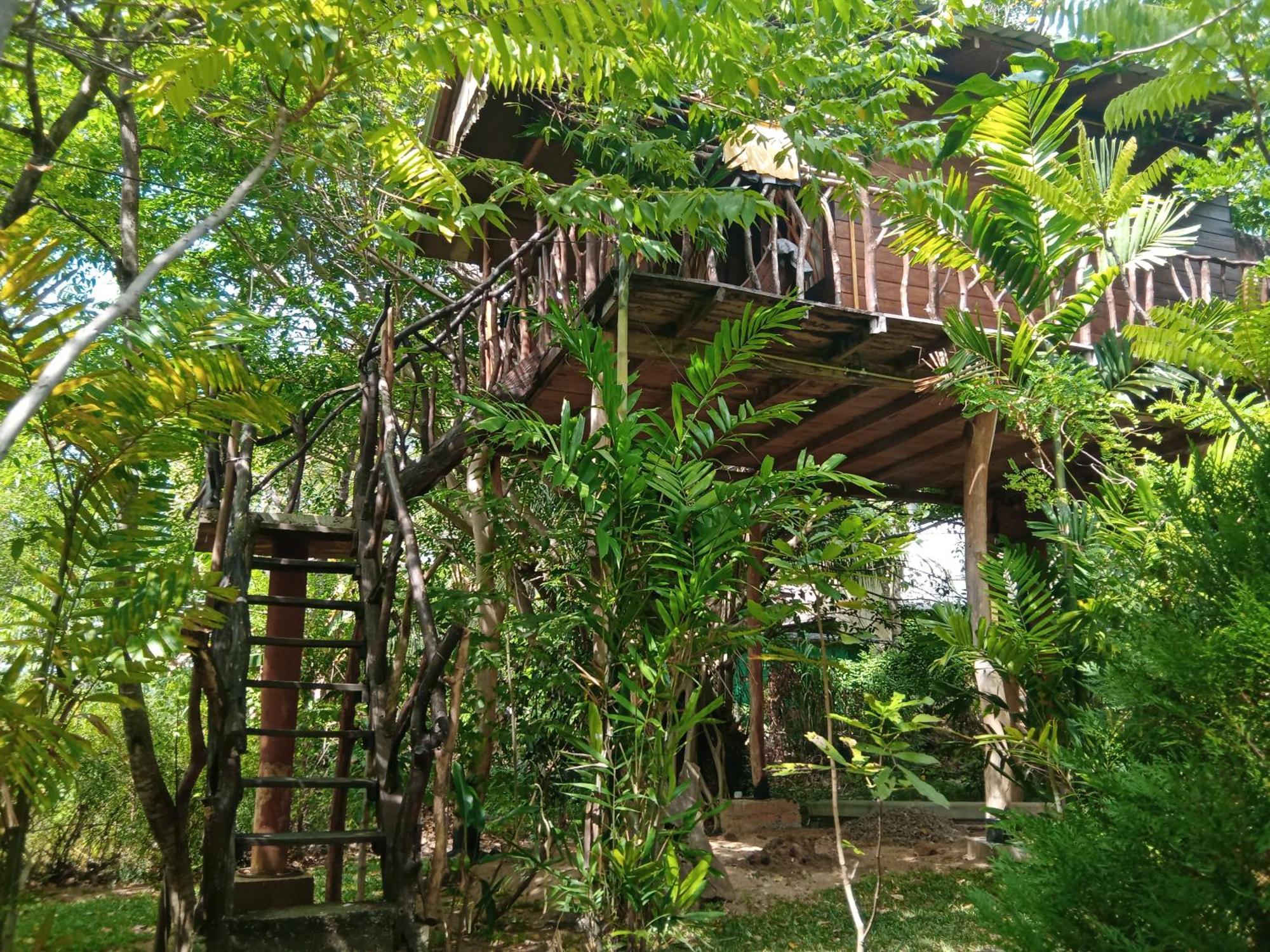 Sigiriya Rock Gate Tree House Hotel Luaran gambar