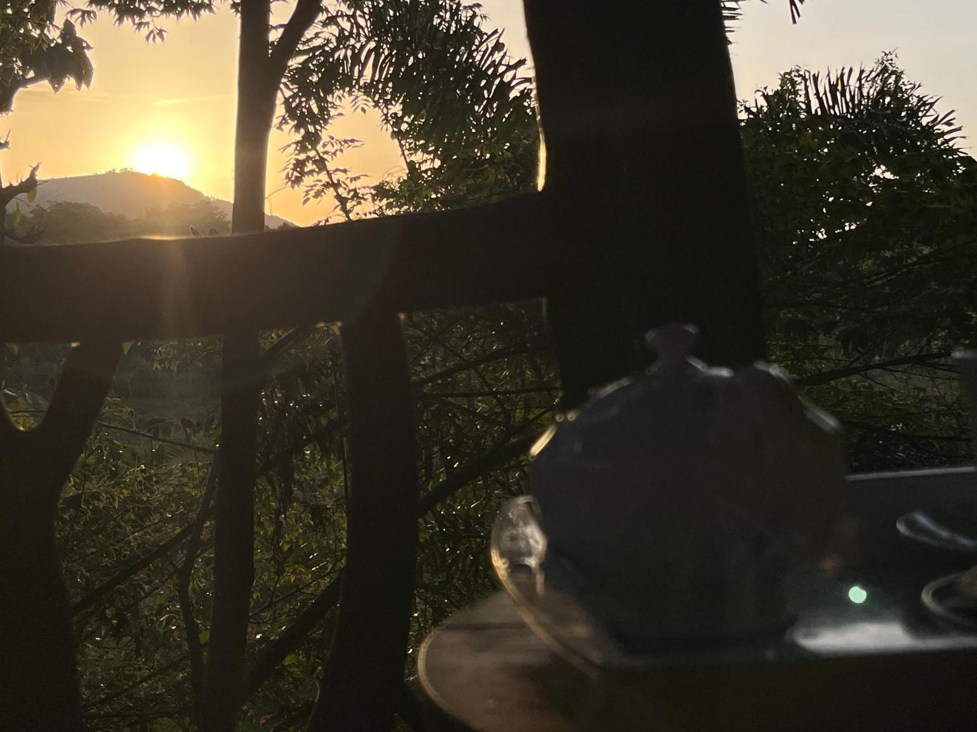 Sigiriya Rock Gate Tree House Hotel Luaran gambar