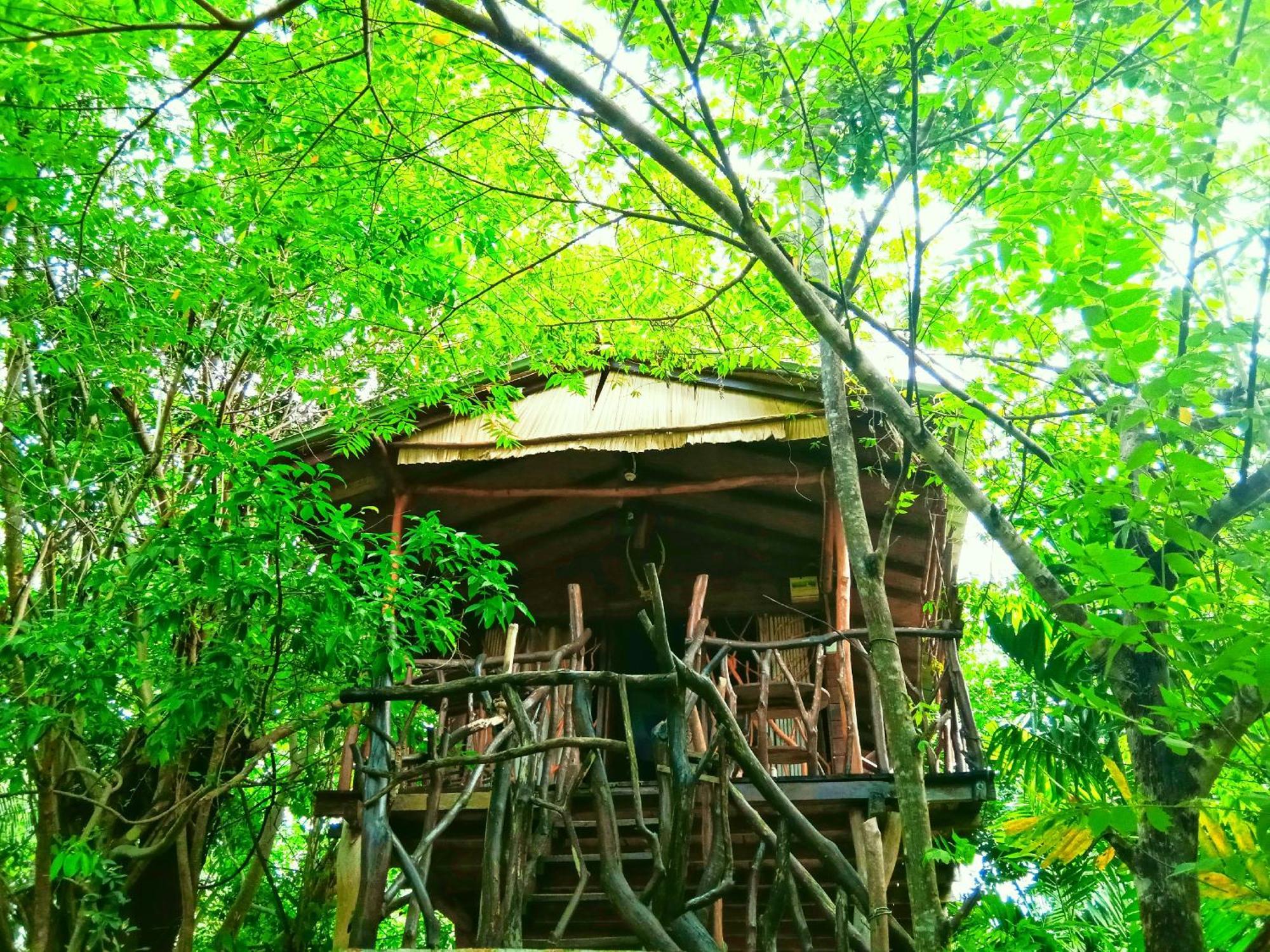 Sigiriya Rock Gate Tree House Hotel Luaran gambar