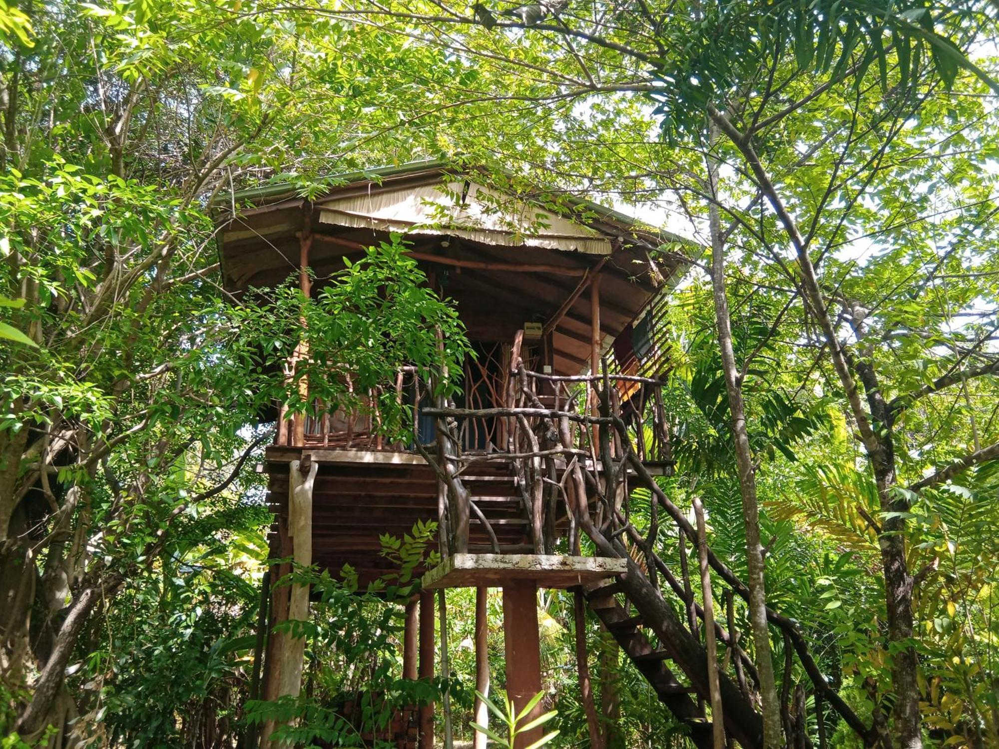 Sigiriya Rock Gate Tree House Hotel Bilik gambar